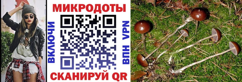 Галлюциногенные грибы GOLDEN TEACHER  Северобайкальск 