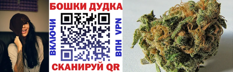 Шишки марихуана MAZAR  как найти закладки  Северобайкальск 